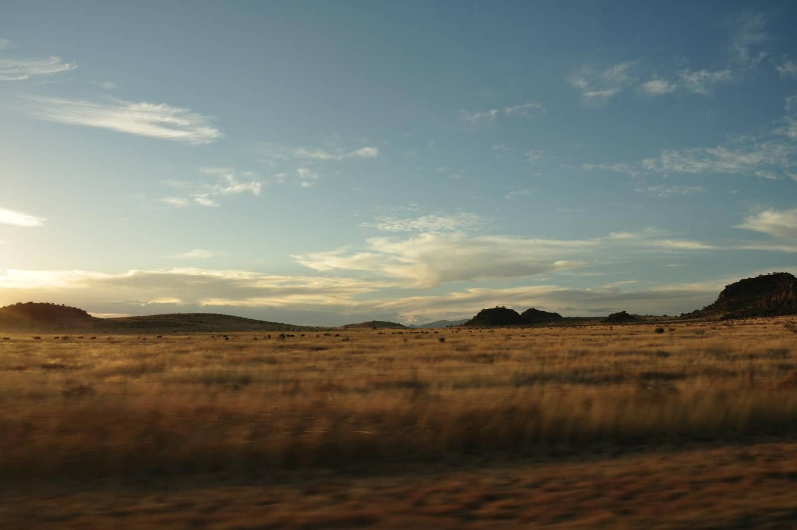 Wide-open Texas savannah at sunset — the rural Godley TX countryside where Godley Septic pumps and cleans tanks