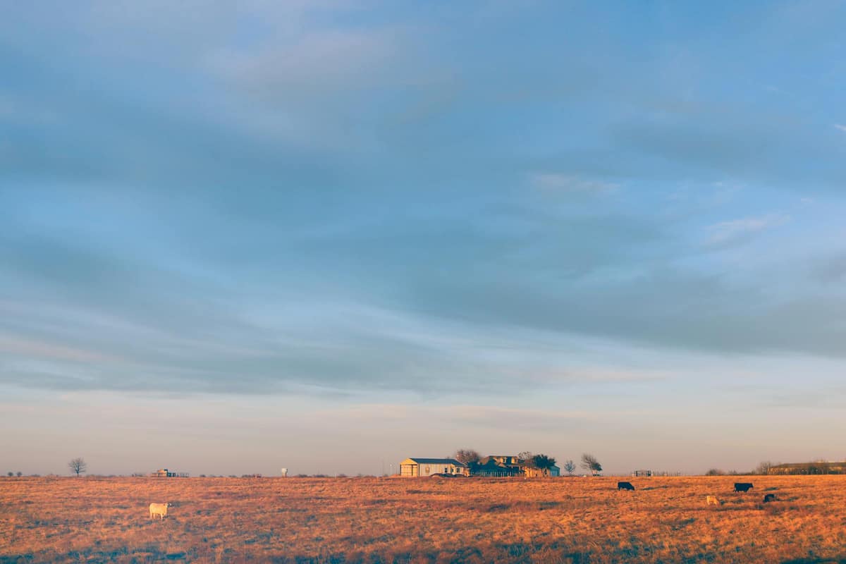 Texas farmhouse and cattle on open prairie under a wide sky — the Godley, TX countryside Godley Septic was built around